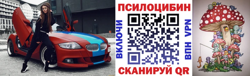 Псилоцибиновые грибы Cubensis  Купить где  Зарайск 